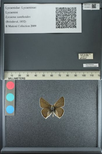 Media type: image;   Entomology 183815